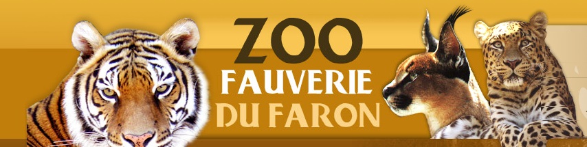 zoo-mont-faron-horaires-tarifs-fauves