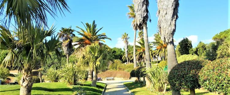 Parc De La Méditerranée à Six-Fours-les-plages : Un Jardin ...