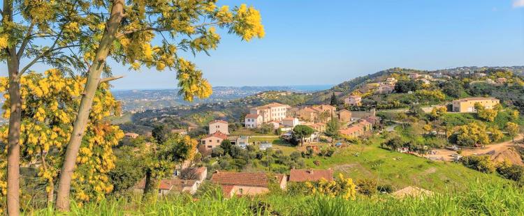 tanneron-balade-famille-mimosa-cote-azur-sortie-var-enfants-83