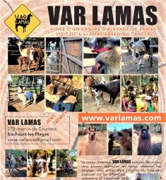 var-lamas-visite-elevage-ferme-pedagogique-insolite-83