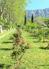 jardin-remarquable-baudouvin-valette-var-sortie-famille-enfants-83-nature-parc