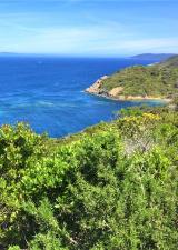 ile-port-cros-hyeres-visite-nature-var-83-famille