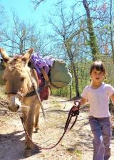 provencane-randonnee-famille-enfants-anes-provence-var-83-ane