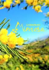 route-mimosa-sortie-famille-var-balade-enfants-decouverte-83-randonnee