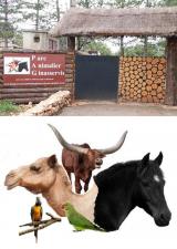 parc-animalier-ginasservis-animaux-famille-enfants-var-83-sorties