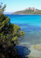ile-porquerolles-hyeres-activites-loisirs-famille-tourisme-var-83