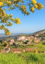 tanneron-balade-famille-mimosa-cote-azur-sortie-var-enfants-83